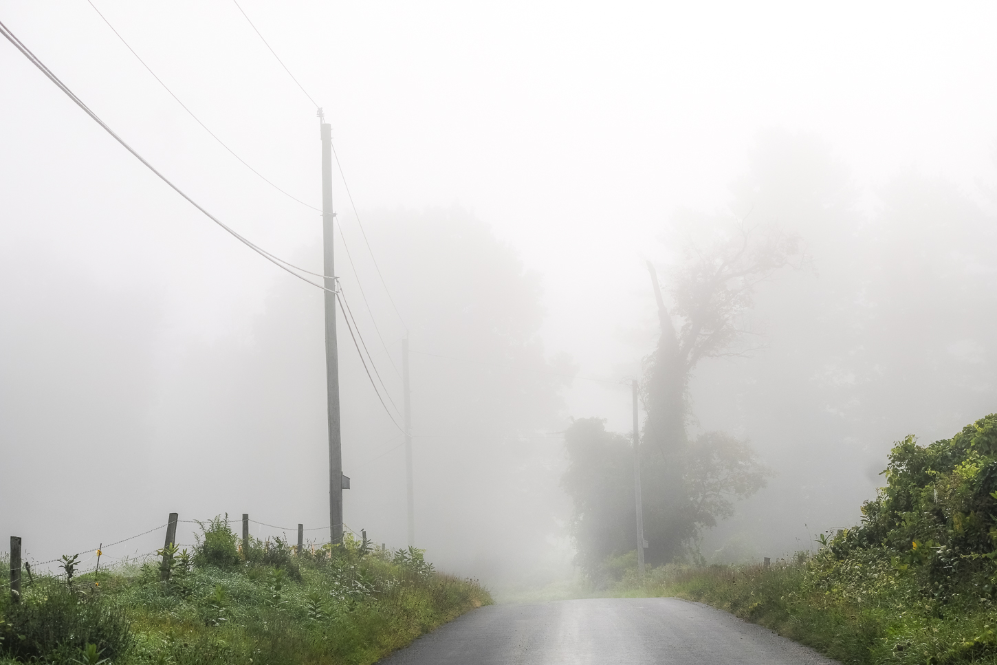 Hautboy Hill Farm. August 26,  2024