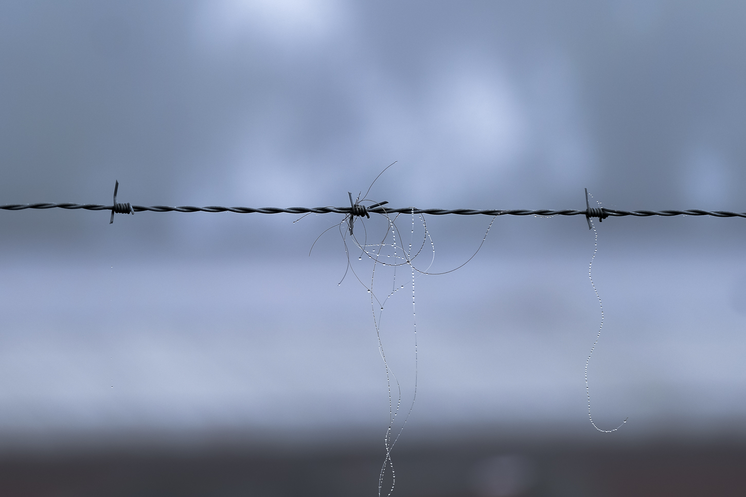 Hautboy Hill Farm. August 26,  2024