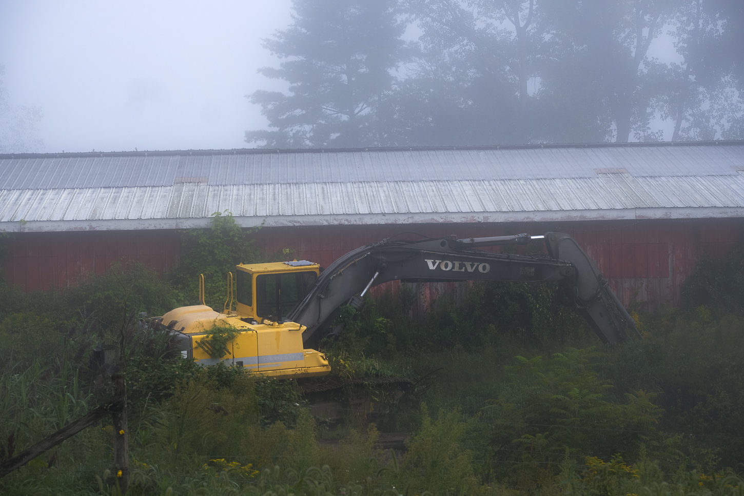 Hautboy Hill Farm. August 26,  2024