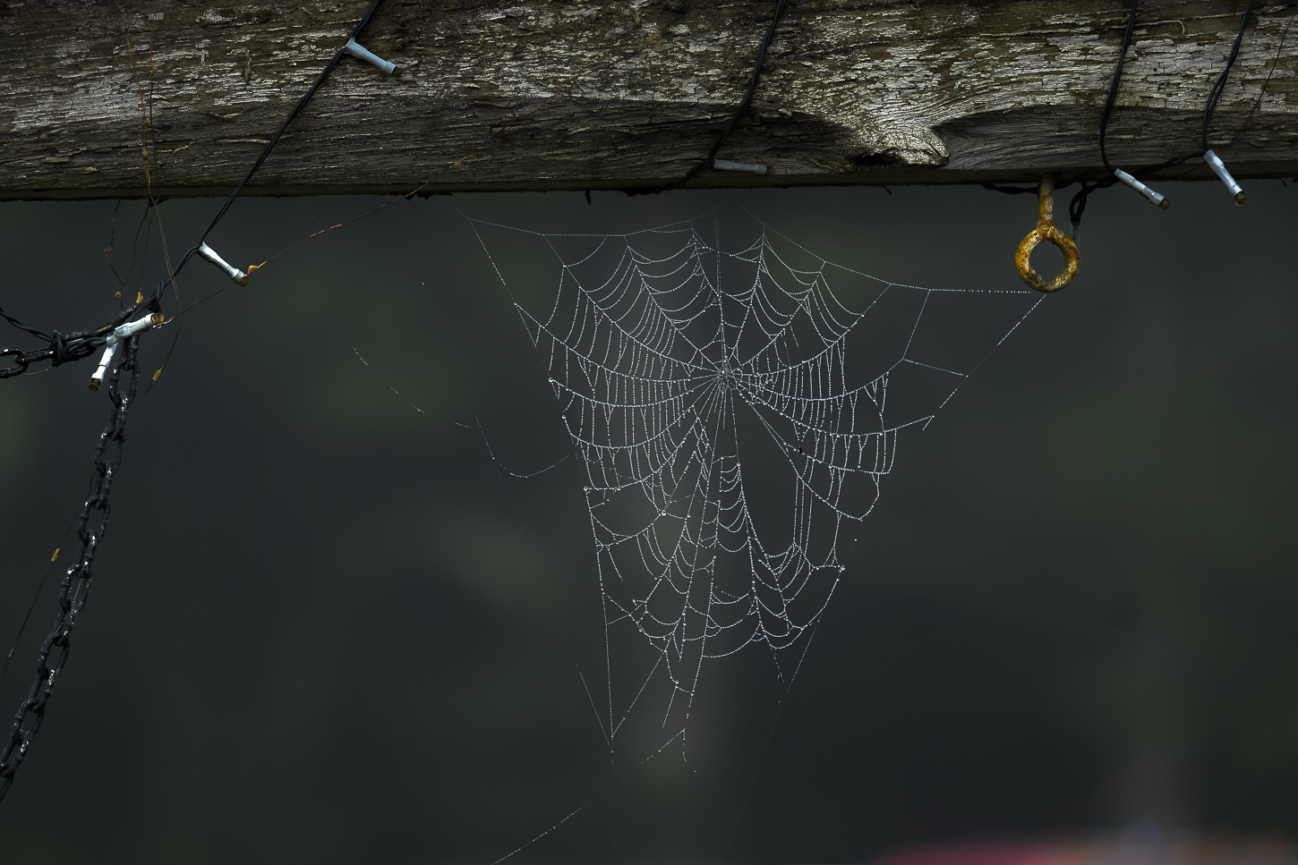 Hautboy Hill Farm. August 26,  2024