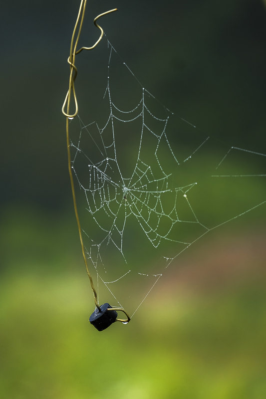 Hautboy Hill Farm. August 26,  2024