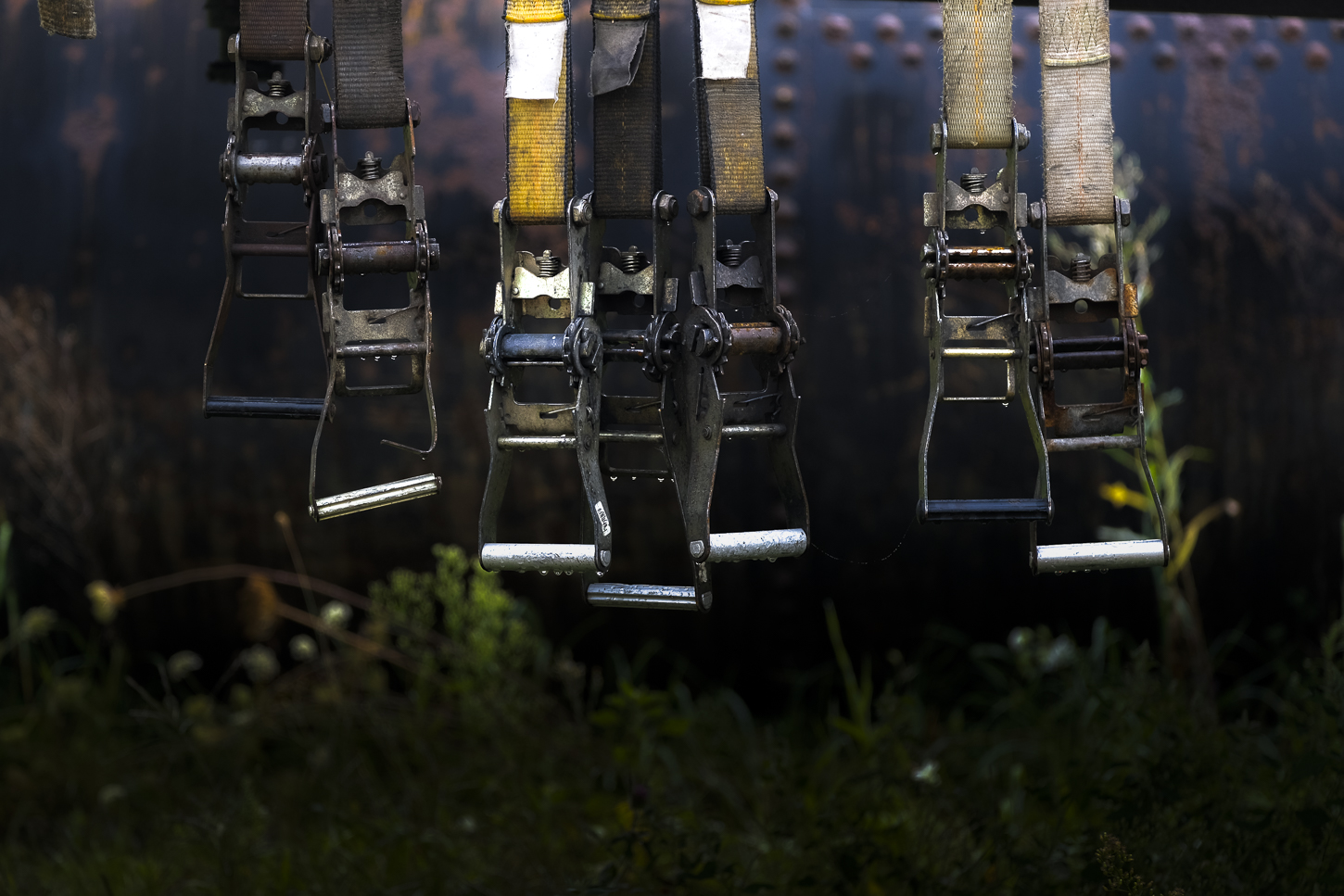 Hautboy Hill Farm. August 26,  2024