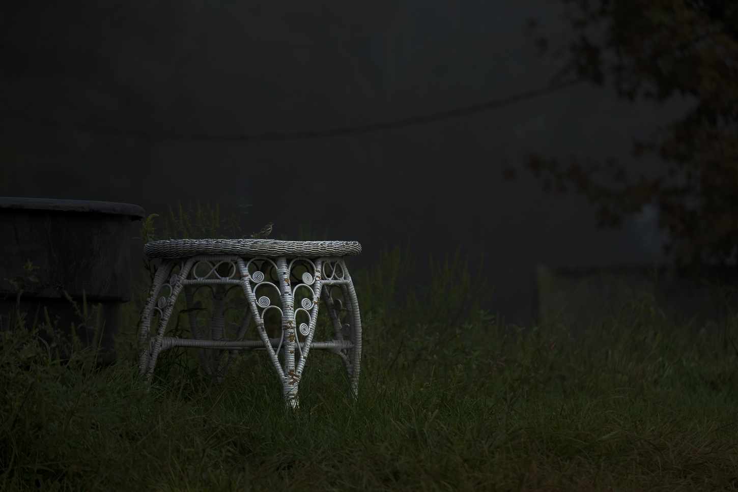 Hautboy Hill Farm. August 26,  2024