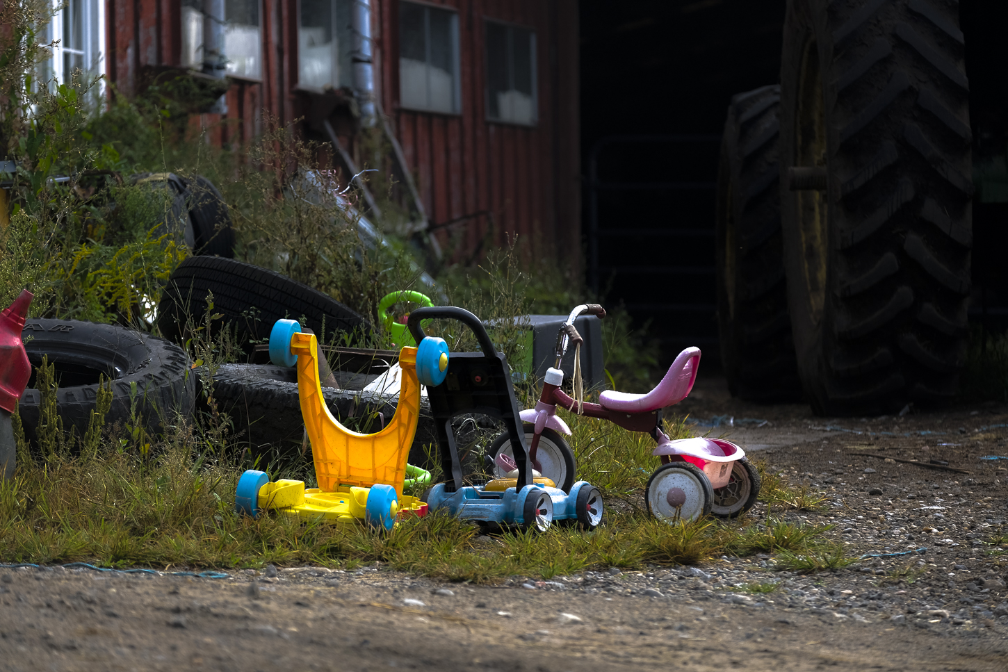 Hautboy Hill Farm. August 26,  2024