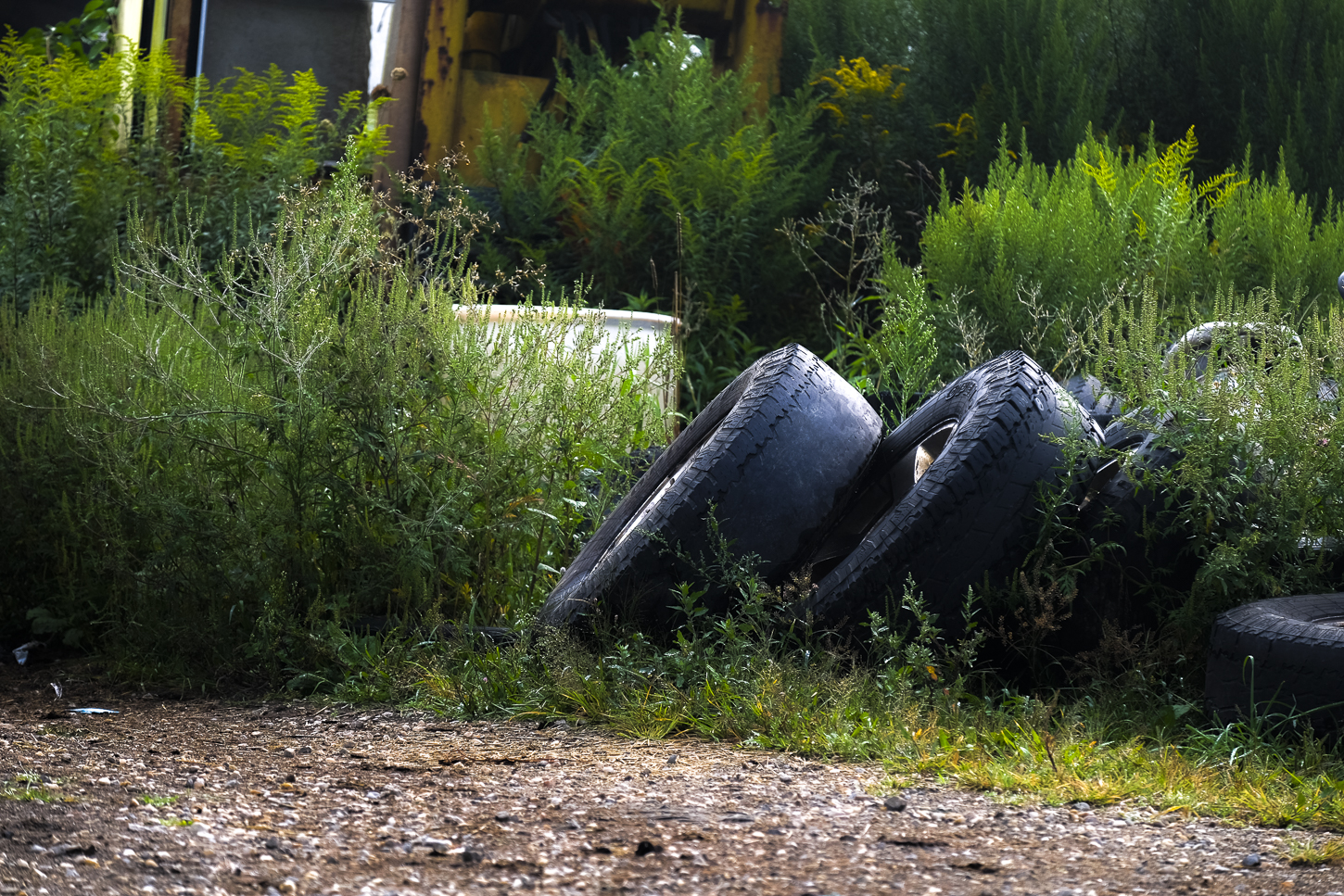 Hautboy Hill Farm. August 26,  2024