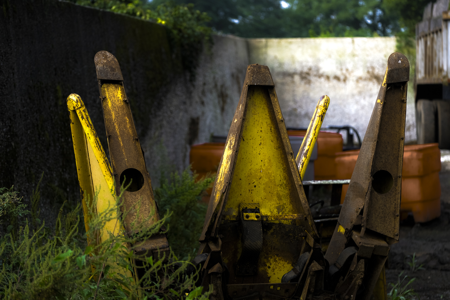 Hautboy Hill Farm. August 26,  2024