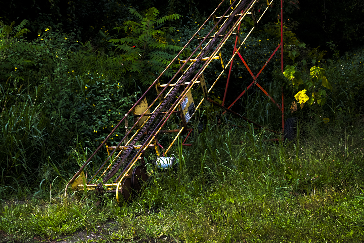 Hautboy Hill Farm. August 26,  2024