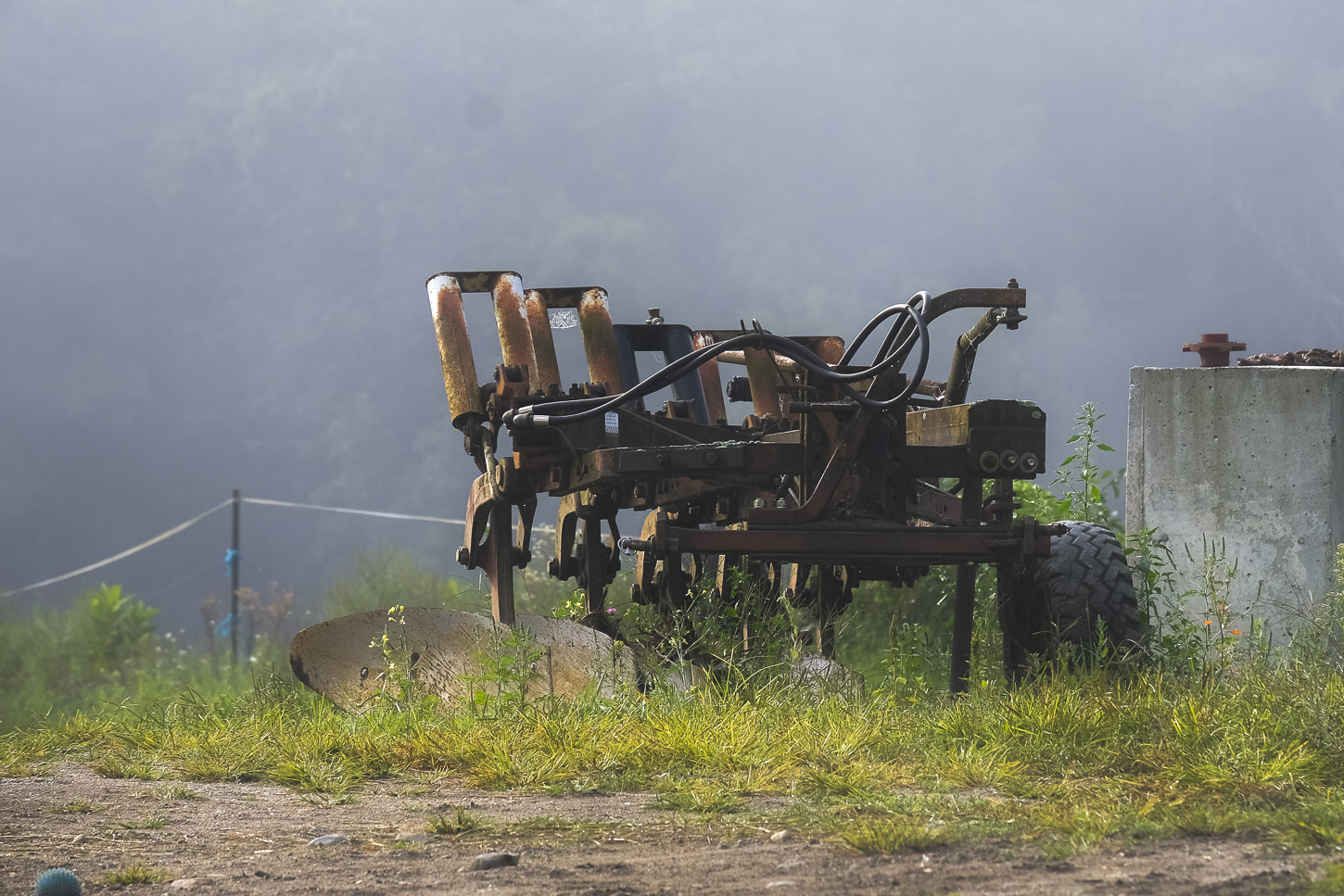 Hautboy Hill Farm. August 26,  2024