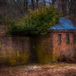 Audubon_March17_2020