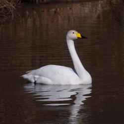 TrevorZoo_Feb23_2020