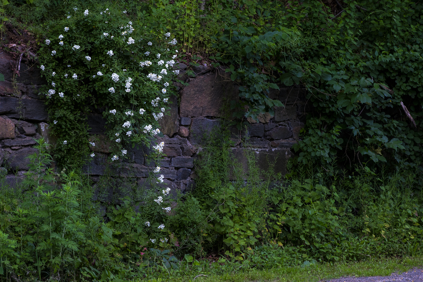 Collinsville, Connecticut. June 3,  2024