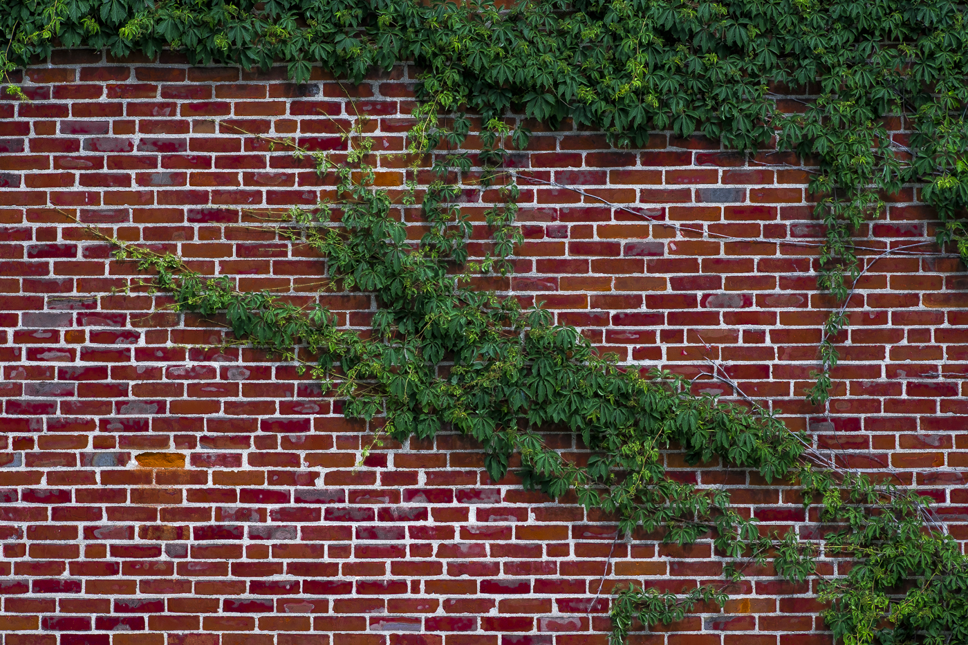 Collinsville, Connecticut. June 3,  2024