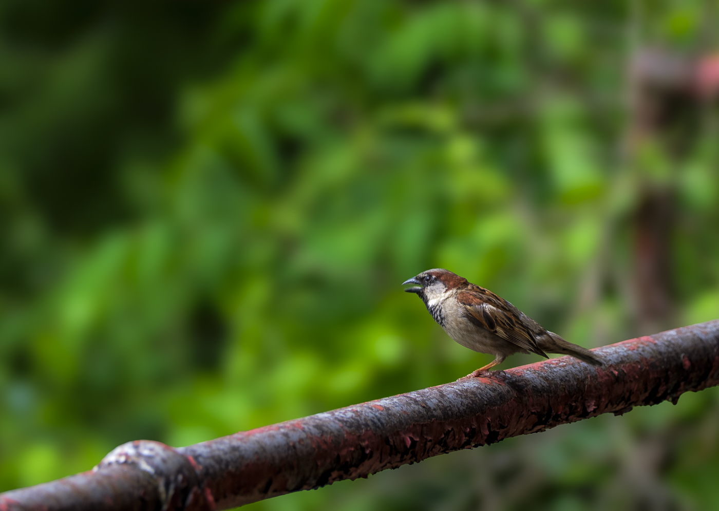 Collinsville, Connecticut. June 3,  2024