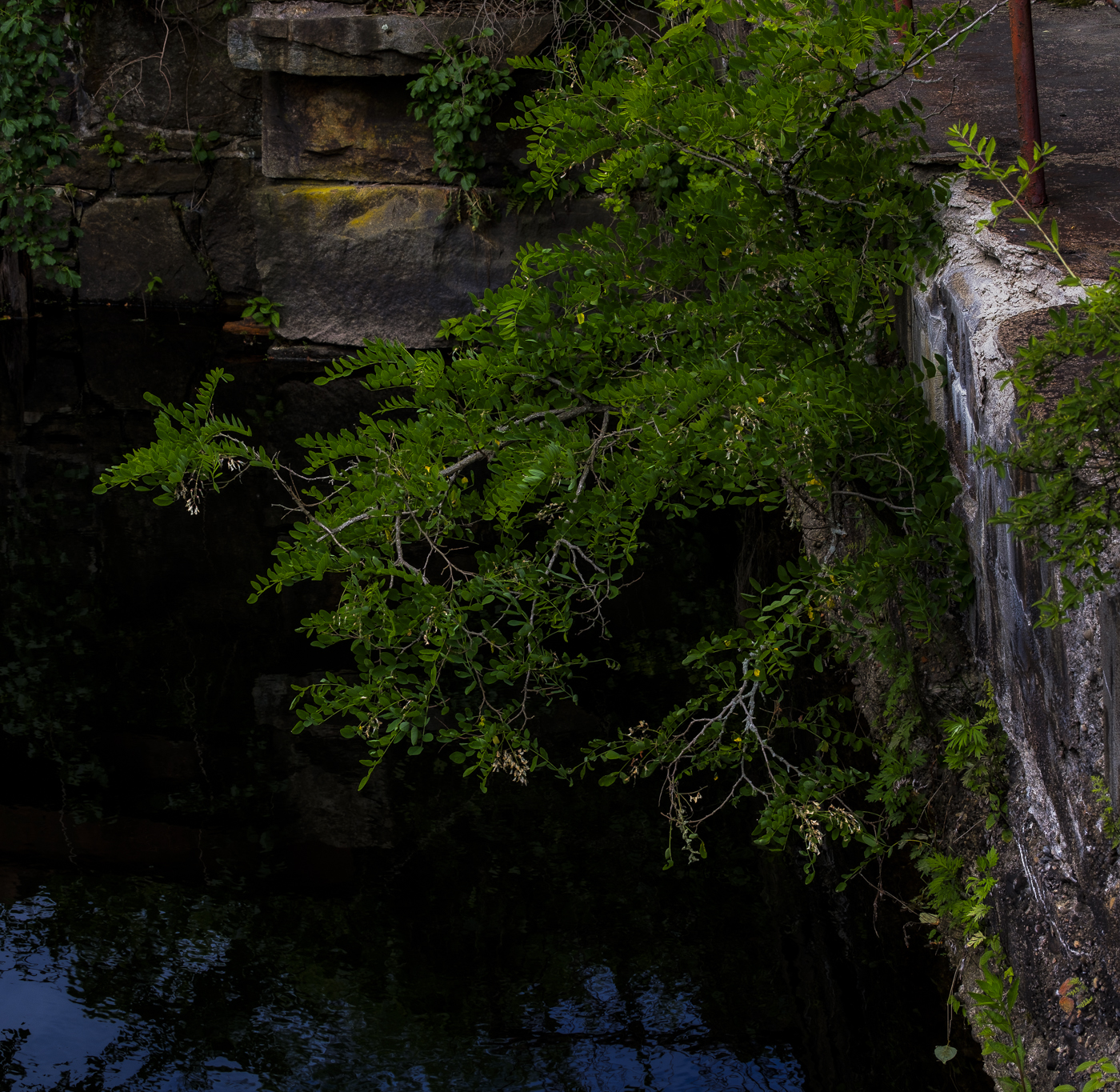 Collinsville, Connecticut. June 3,  2024