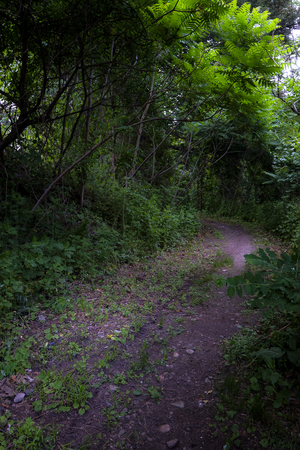 Collinsville, Connecticut. June 3,  2024