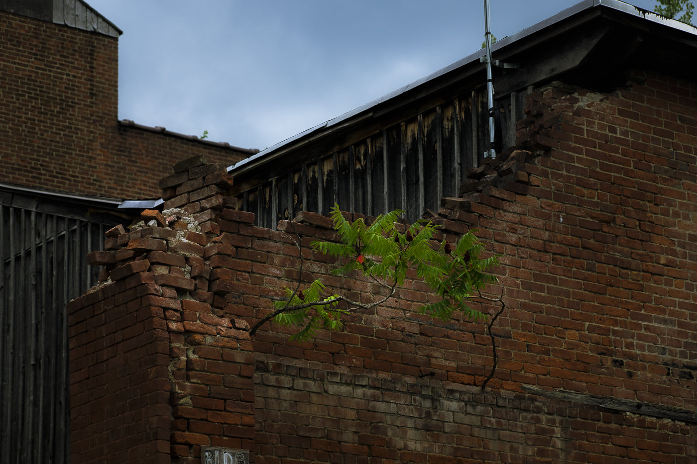 Housatonic, Mass. July25,  2024