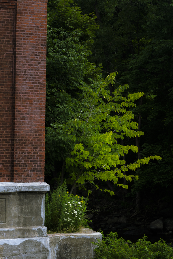 Housatonic, Mass. July25,  2024