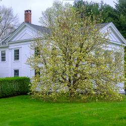 DebbyJonesGarden_May8_2024