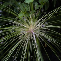 DebbyJones_June18_2021