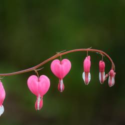 DebbyJones_May14_2025