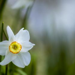 DebbyJones_may17_2020