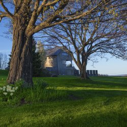 WH_Cinco_de_Mayo2020