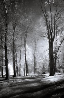 LakeLillionah_April30_2022