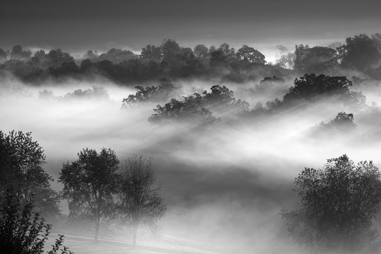 Fog in the Valley