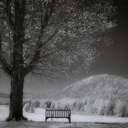 ColtsfootValley_Infrared2023