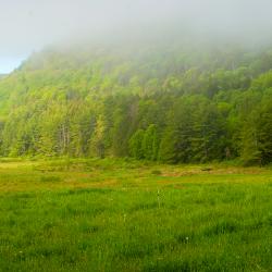 CornwallValleyPanorama