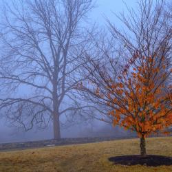 CornwallValley_March16_2022