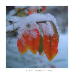 FirstSnow2012