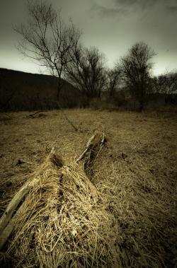 HousatonicRiverBend_Kent