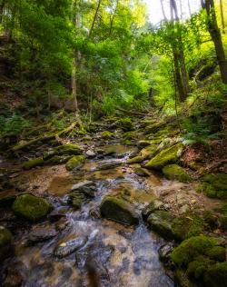 MillardBrook_Falls2025