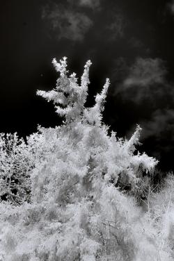 NepaugReservoir_May12_2022