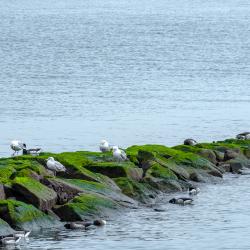 PleasureBeachBridegport