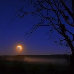 SmithfieldSeptember19_2013