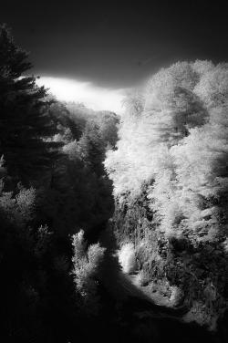 ThomastonDamInfraredPictures2023