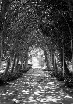 WeathersfieldInfrared_TSept2014