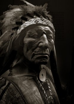 NaturalHistoryMuseum