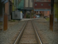 sdim0541