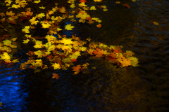 autumn-colors-at-macedonia-brook-park-kent-connecticut