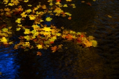 autumn-colors-at-macedonia-brook-park-kent-connecticut