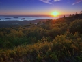 caddilac_dsc_0770
