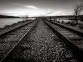 DSCF0080068