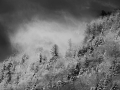 DSCF0361029_1