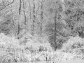 DSCF0463044