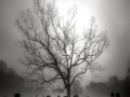 DSCF0631