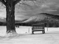 DSCF0641041