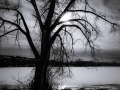 DSCF0950249